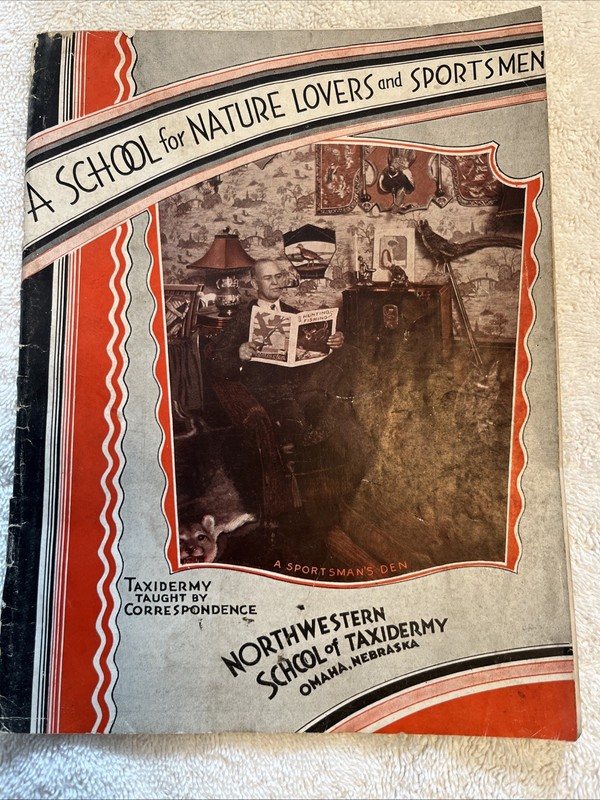 The Northwestern School Of Taxidermy Vintage 1930s Catalog Correspondence