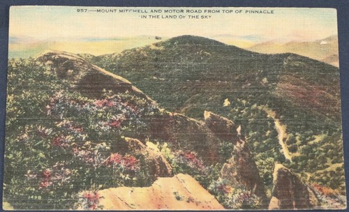 Mount Mitchell & Motor Road von Top of Pinnacle, NC Postkarte 1947