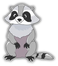 Raccoon Car Bumper Sticker Decal - ''SIZES''