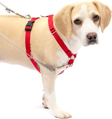 Pet Safe Sure-Fit Dog Harness Medium 3/4