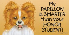 My PAPILLON is Smarter than your HONOR STUDEN...