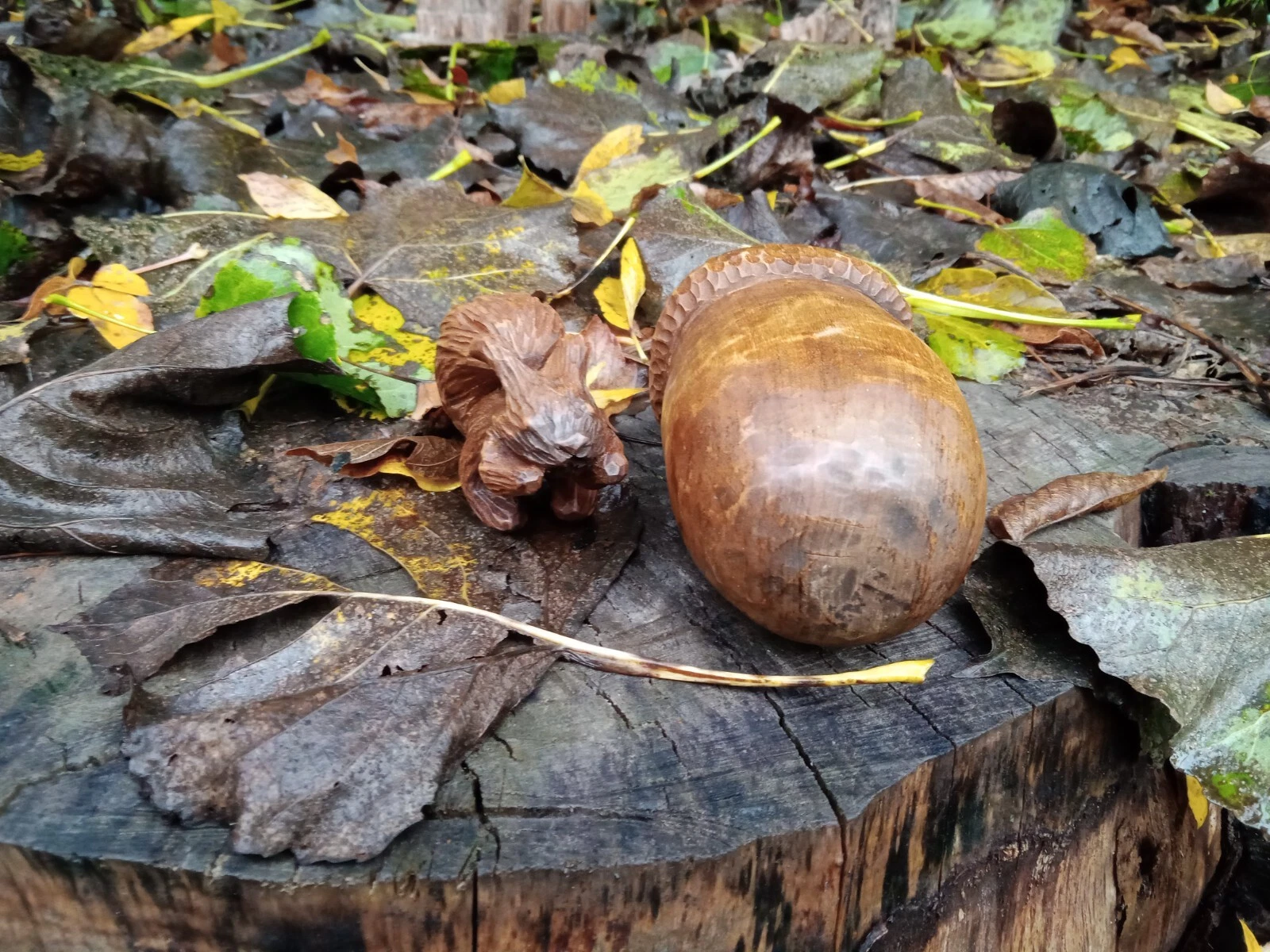 Picture 5 of 11