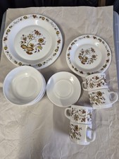 Arcopal Dinner Set 4 place settings 20 pieces CHARITY SALE