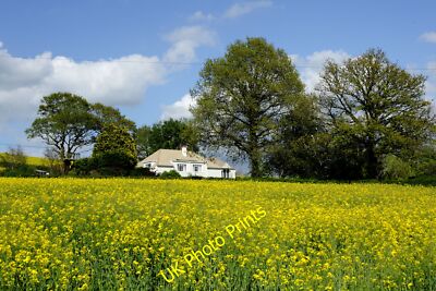 Photo 6x4 A Colourful Country Cottage South Molton Sandwiched between a b c2015