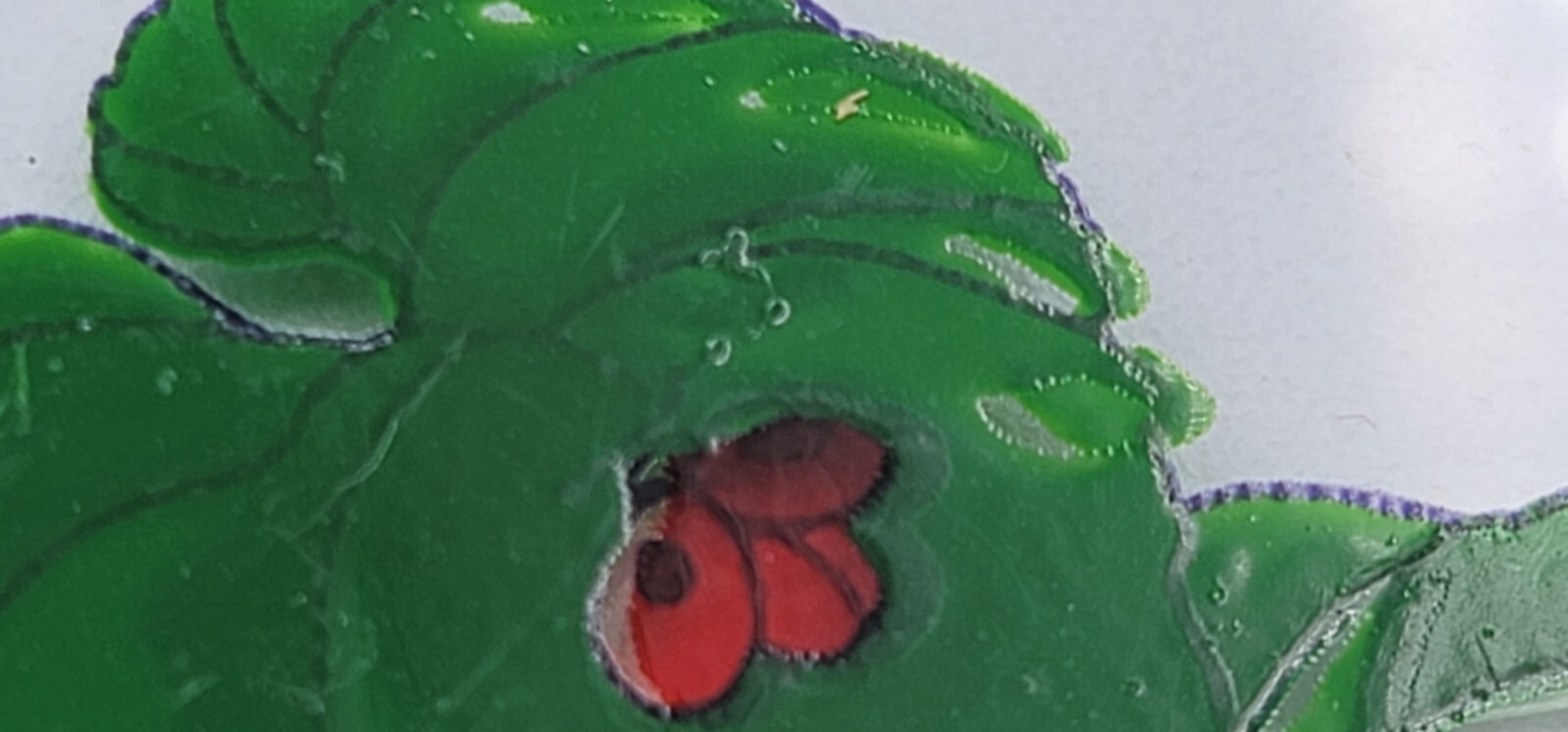 Bild 15 von 21