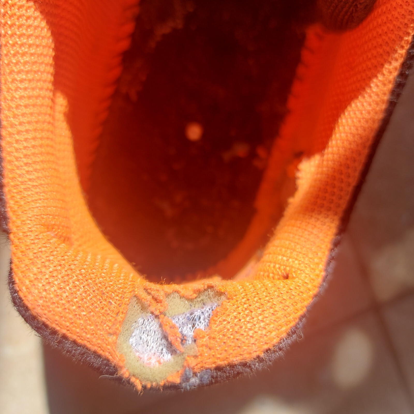 Foto 5 di 5