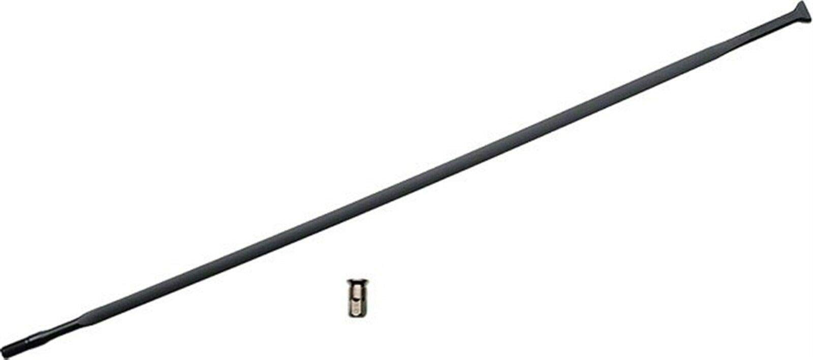 Campagnolo WH-307EUC Eurus CL Non-Gear Spoke Blk