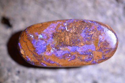 21ct30x14x6 Top Purple Koroit Wood Replacement Opal Schmuckstein Australia Gem