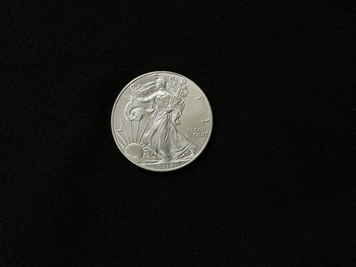 2014 American Silver Eagle BU 1 Oz Coin US $1 Dollar Mint  Uncirculated #8