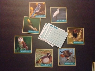 2012 Outset Media WHAT BIRD AM I? cards (you pick) pack fresh Free Ship #2