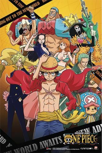 One Piece ~ New World Awaits ~ 24x36 POSTER/NEW ROLLED | eBay