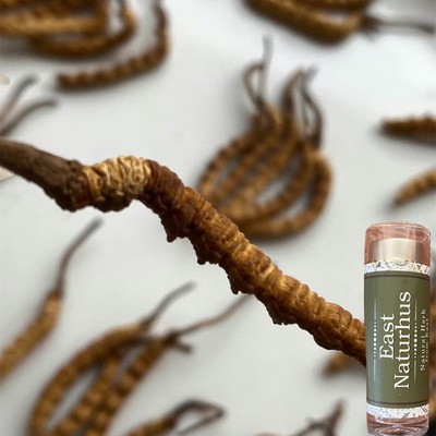 Cordyceps Sinensis Raw Herbs-Single Herbs Dong Trung Ha Thao