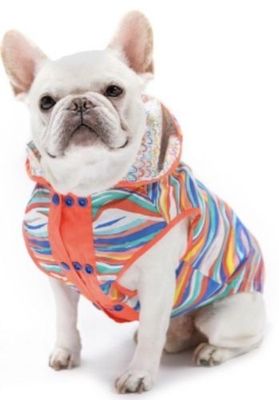 mighty paw martingale collar