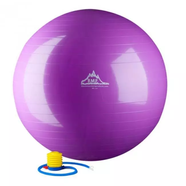 Black mountain sales products exercise ball