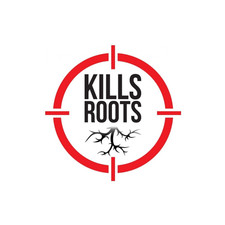 Spear And Jackson Fast Acting Weed Killer 1 Litre Ready To Use Spray