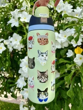 Owala Stainless Bottle 32 oz Urban Outfitters Exclusive Cat Collage New INHAND