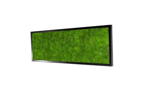 Wandbilder Wave Design Moosbild Wandbild Wand Moos Bilder Oster Dekoration - Bild 29 von 39