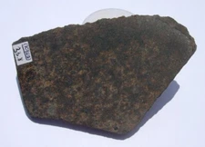 NWA 10805 Polished Slice L4 Chondrite Meteorite 33.8 grams