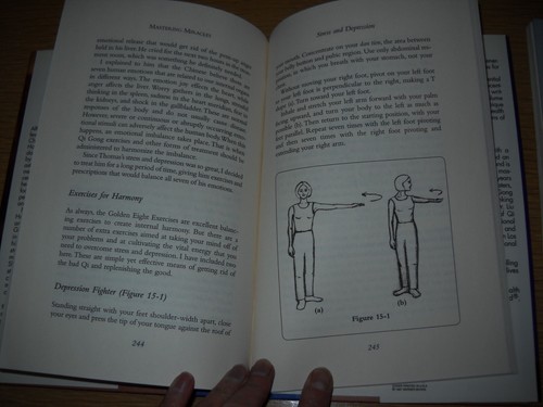 2 QIGONG BOOKS: MASTERING MIRCLES/ DR HONG LIU & LIVING QIGONG/ JOHN ALTON - Picture 5 of 16