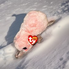 TY Beanie Boos WILMA & PERRY the Platypus 7” Plush Glitter Eyes & Sparkle Paws