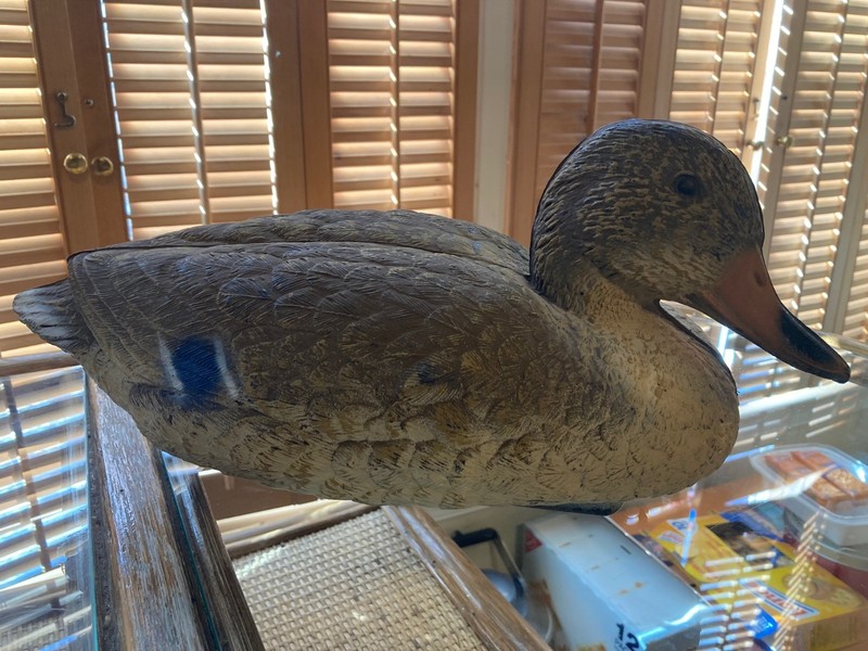 Real Duck Decoy Made By “Sport Plast”