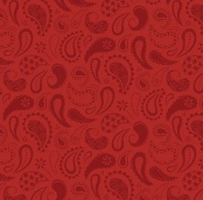 CAMELOT FABRICS - Howdy Partner By Gabrielle Neil - Prairie Paisley - Red ,1/4