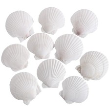 10 PCS 45 Inch Natural White Large Scallop Shells Sea Shells for DIY Craft Ho...