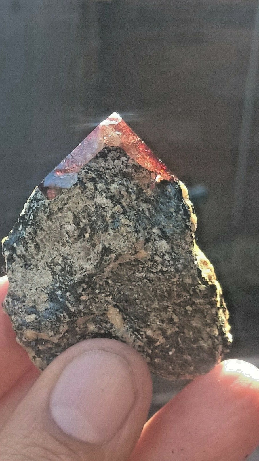 Picture 5 of 11