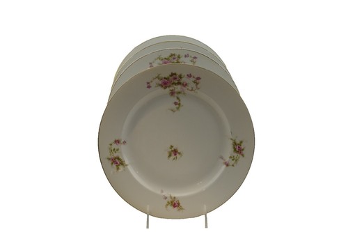 BENARES Hutschenreuther Dinner Plate 10.5