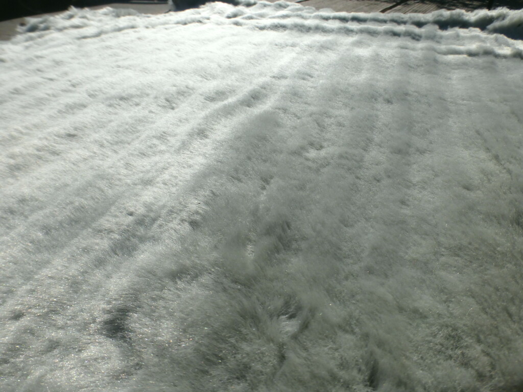 Bild 3 von 7
