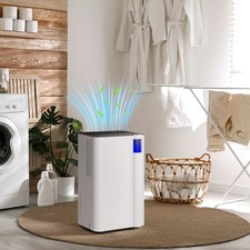 12L/Day Air Dehumidifier for Home Bedroom, with Continuous Drainage, White