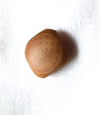 Single Square Antique Button Vegetable Ivory Textured Shank Style Natural Tan