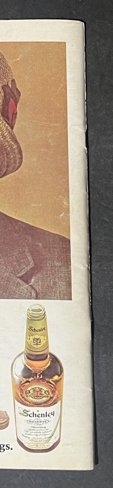 Picture 22 of 22