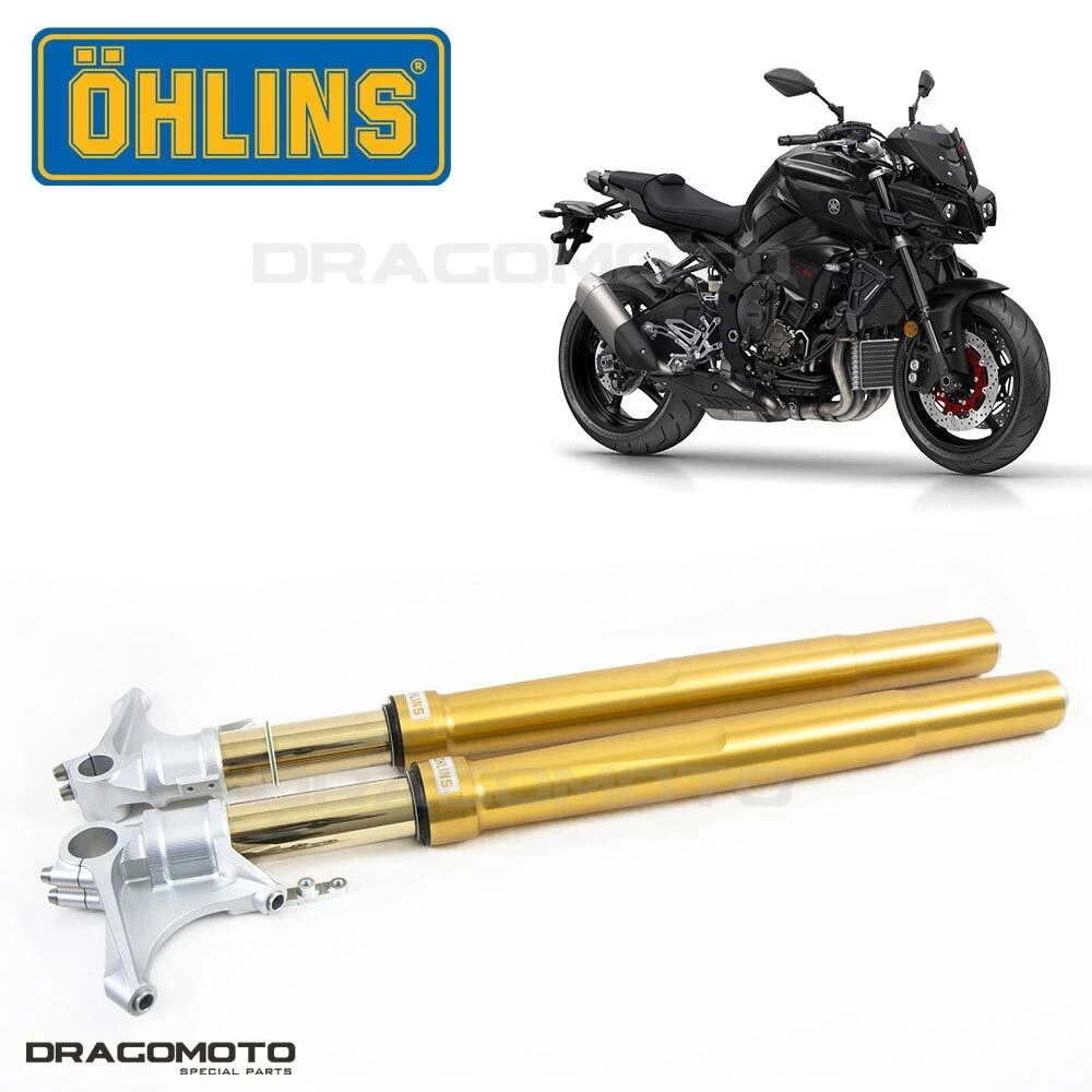 OG Lowrider Barre Forcella A Molla In Acciaio Ritorto Lungo 18 Oro Per Ruota 20