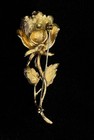 Foto 7 di 7