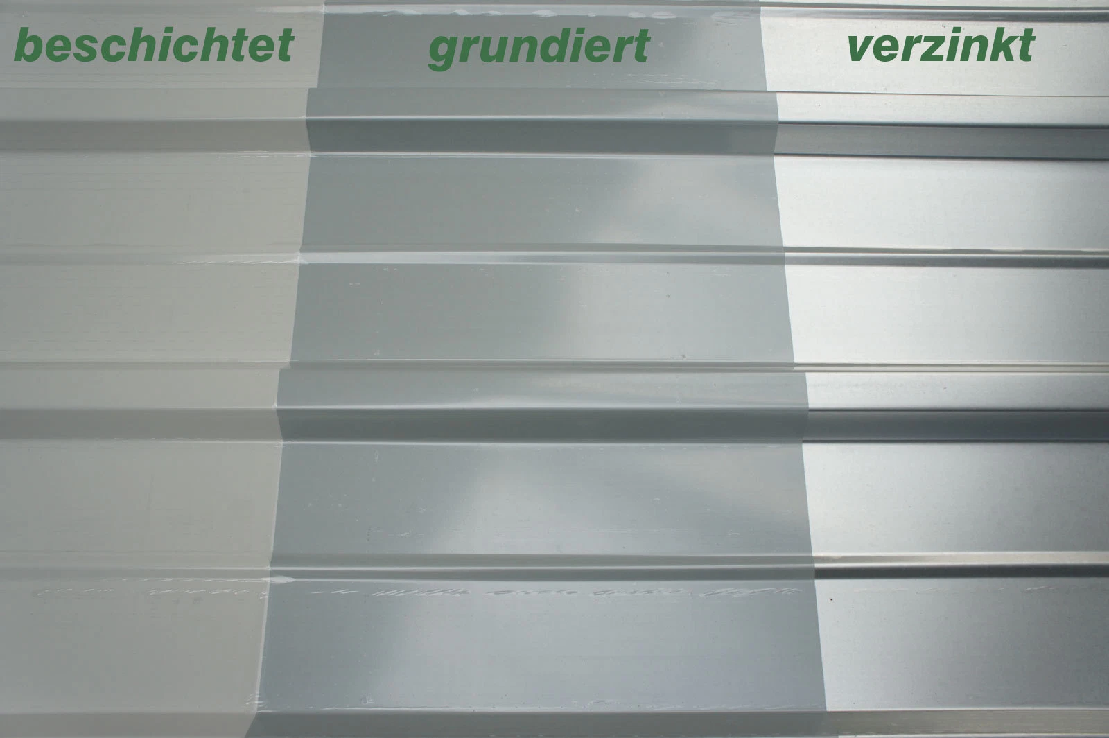Bild 5 von 5