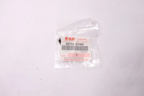 PLUG, GEAR SHIFT FORK SHAFT