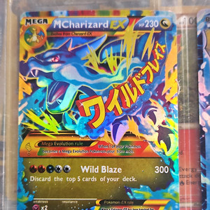 Pokemon Wild Blaze | eBay