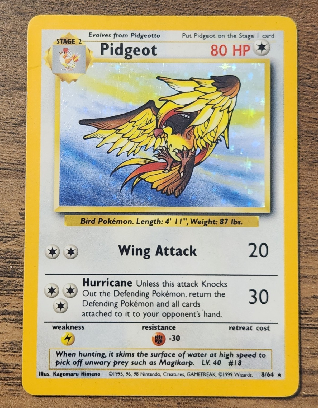 Pidgeot 8/64 Error No Symbol Holo Rare MP-HP 1999 Pokemon Jungle WOTC VTG Card