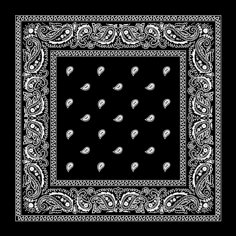 【値下げ】ACIDTONE BUZZ FACE Paisley ACIDTONE BUZZ FACE Paisley｜FATMAN PLEASURE