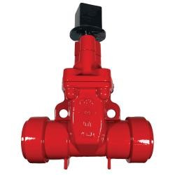 Push-On Gate Valve with OP Nut, 2-in Nominal, RT x RT, Ductile Iron Body