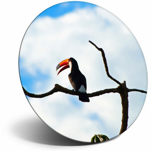 Toller Kühlschrankmagnet - Wild Toucan Vogel tropischer Dschungel cooles Geschenk #24316 - Bild 1 von 4