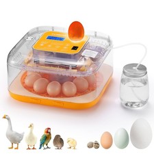 TURBRO 12 Egg Incubator with Automatic Egg Turning, Incubator for Hatching Eggs