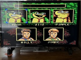 Battletoads & Double Dragon - The Ultimate Team Nintendo NES Cleaned/Tested