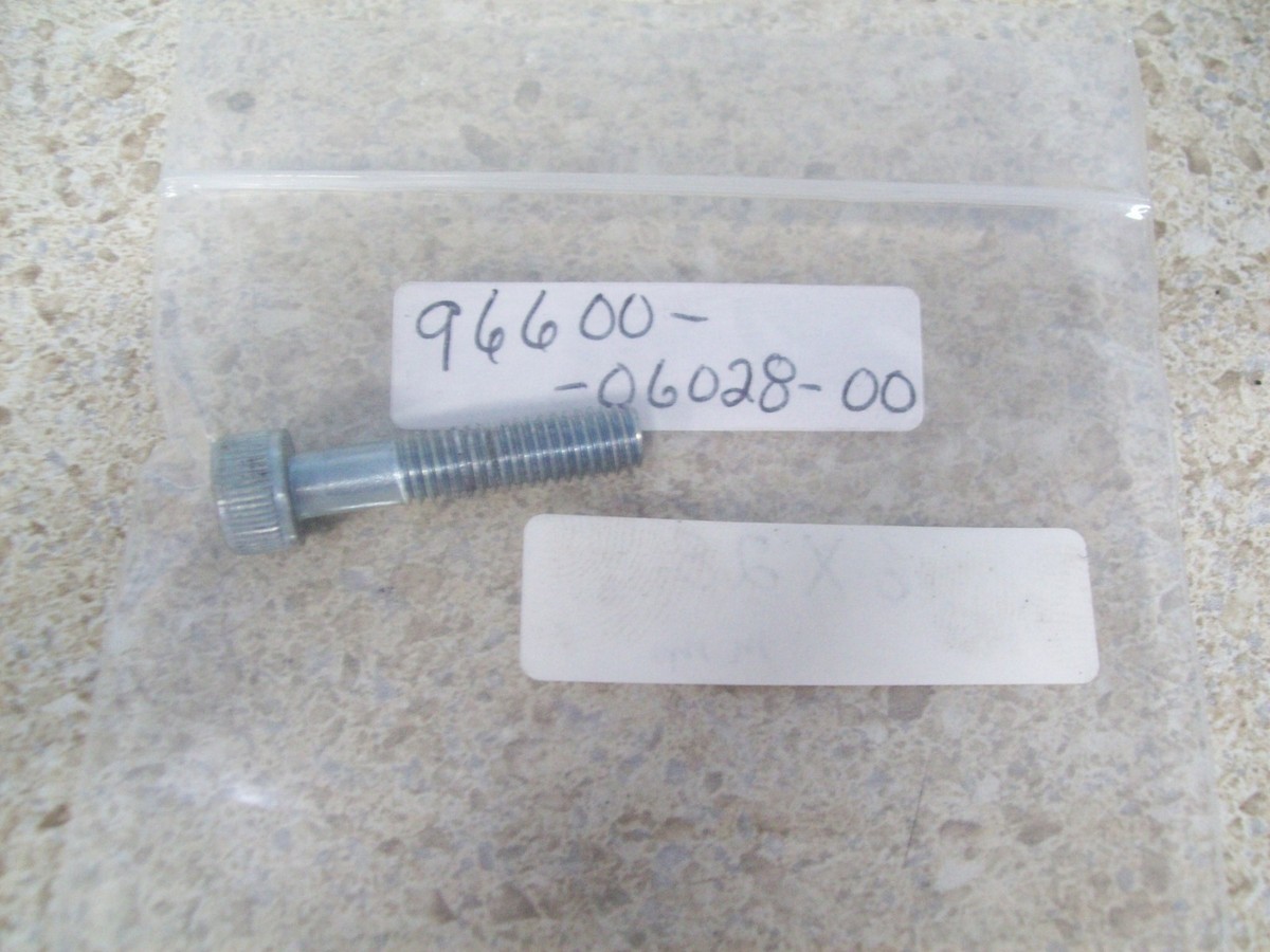 NOS OEM Honda 6x28 Socket Bolt 1986-2008 RC45 Valkyrie VTX1800C