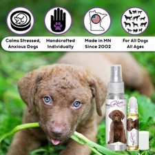 Chesapeake Bay Retriever Relax Dog Aromatherapy  Calms Anxious Stressed Dogs