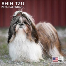 Shih Tzu Calendar 2026 - Dog Breed Wall Calendar - Made in the USA!