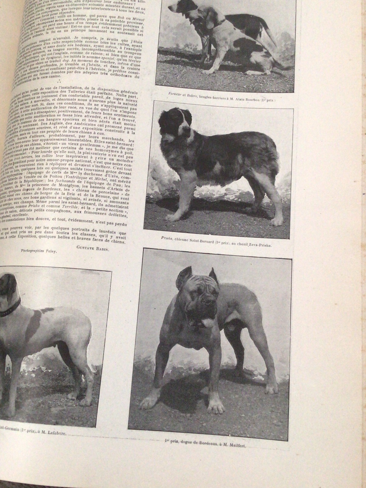 Picture 9 of 22