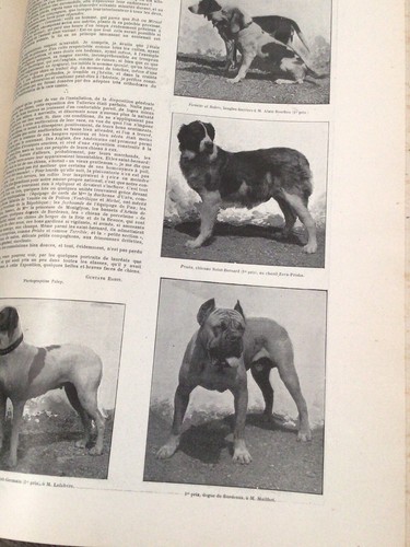 L'Illustration (année 1902 en 2 volumes). Lire - Picture 9 of 22