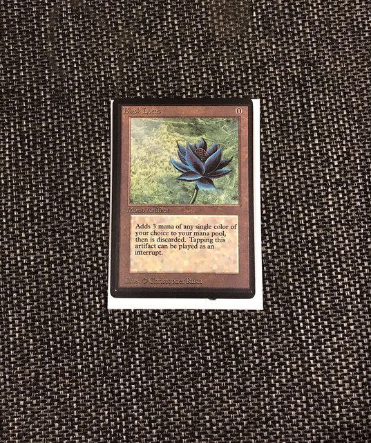 Blacker lotus ботания